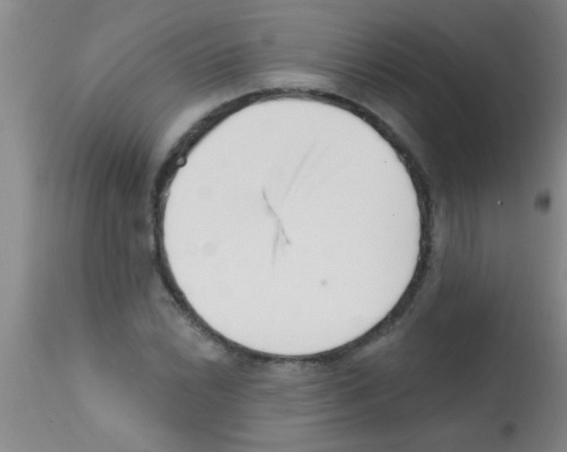 X0000113201022200910221035