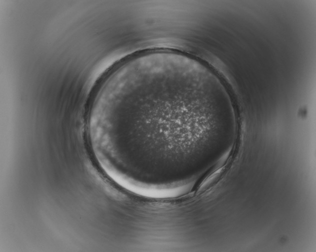 X0000113201024200910221035