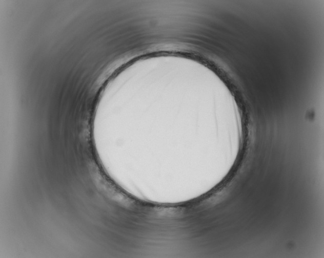 X0000113201025200910221035