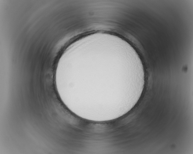 X0000113201027200910221035