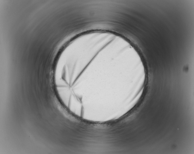 X0000113201029200910221035