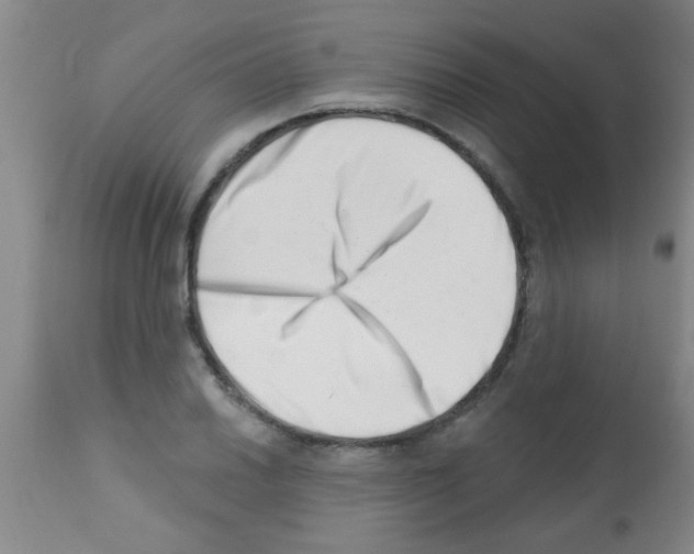 X0000113201030200910221035