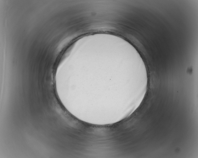X0000113201031200910221035