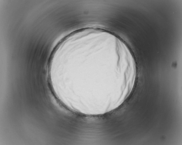 X0000113201032200910221035