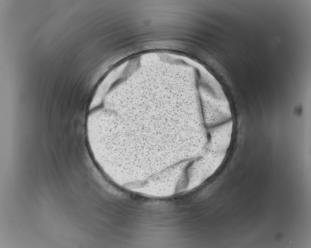 X0000113201033200910221035