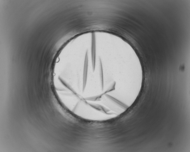 X0000113201034200910221035