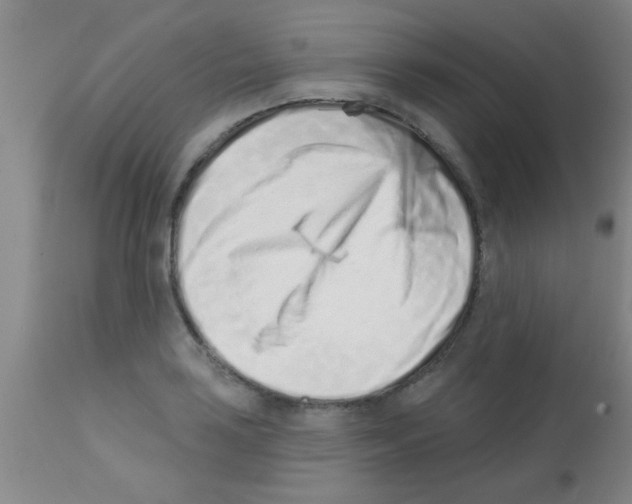 X0000113201035200910221035