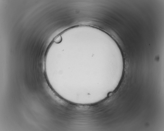 X0000113201036200910221035