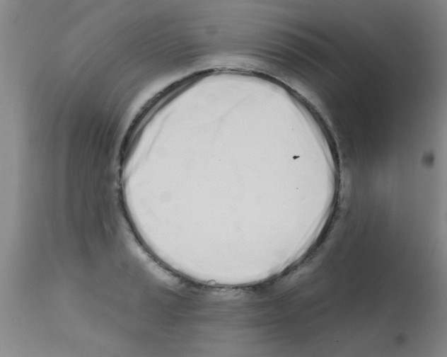 X0000113201037200910221035