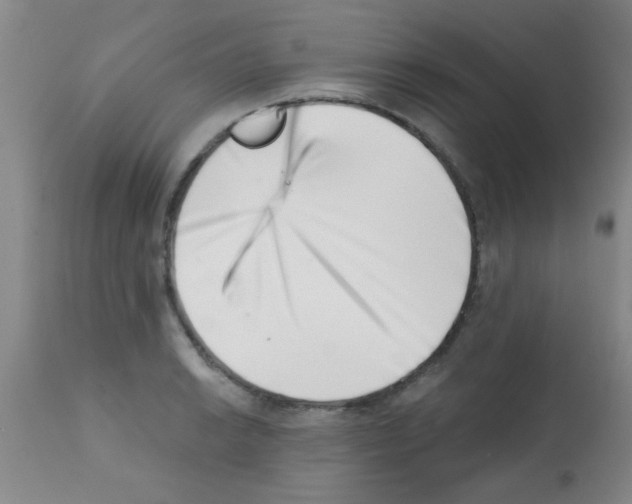 X0000113201038200910221035