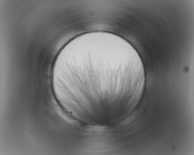 X0000113201039200910221035