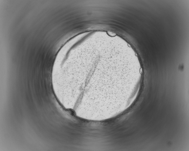 X0000113201041200910221035