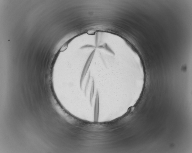 X0000113201042200910221035