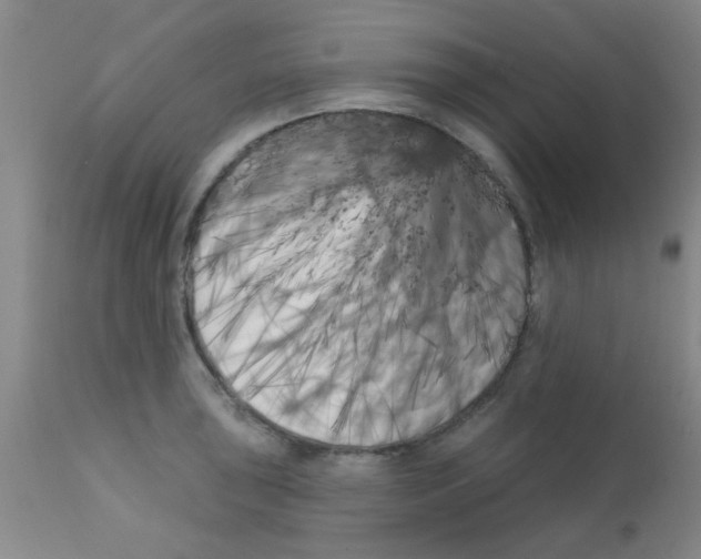 X0000113201043200910221035
