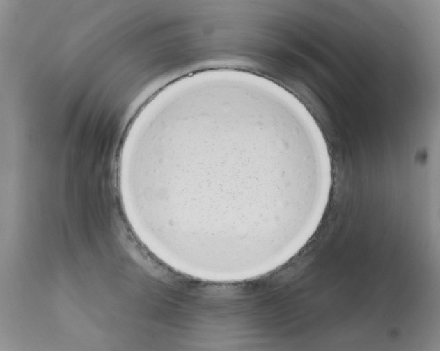 X0000113201044200910221035