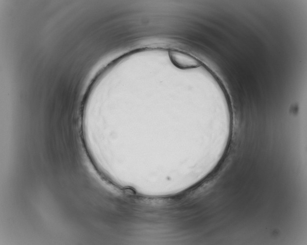 X0000113201045200910221035