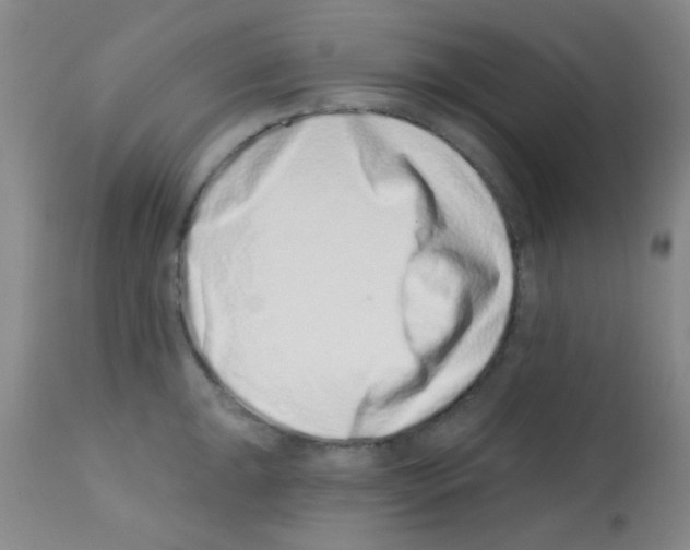 X0000113201047200910221035