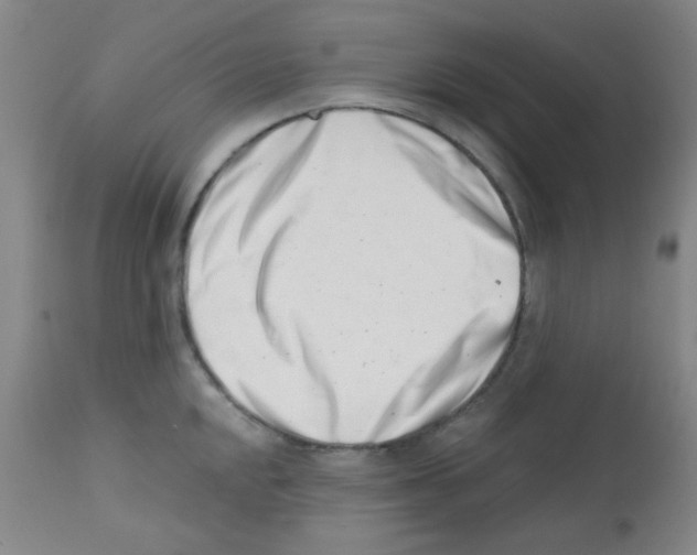 X0000113201048200910221035