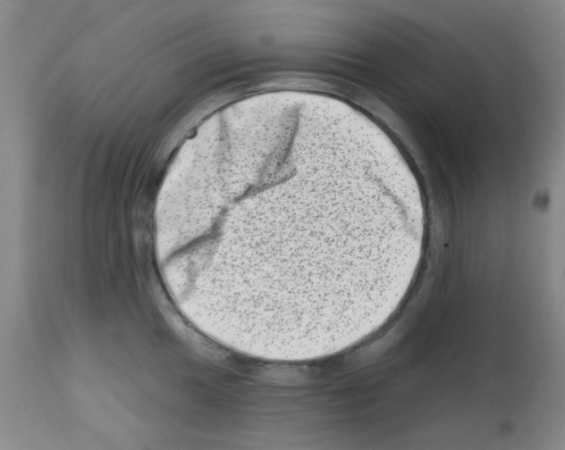 X0000113201049200910221035