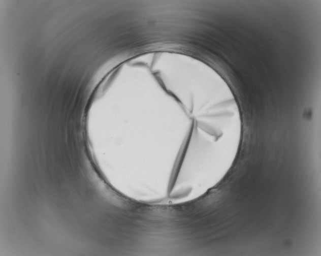 X0000113201050200910221035