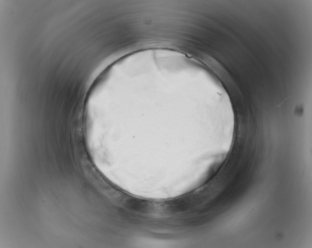 X0000113201052200910221035