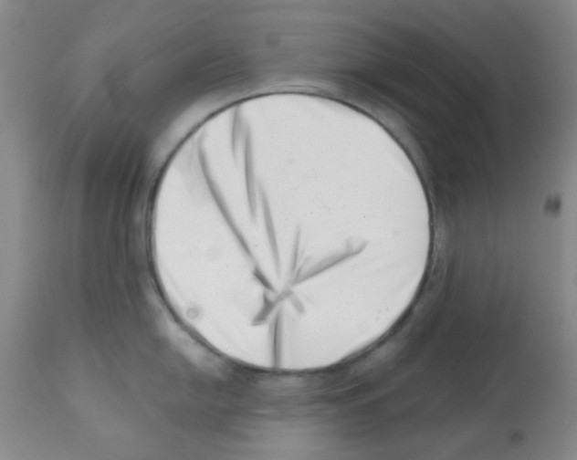 X0000113201054200910221035