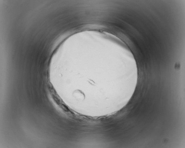 X0000113201055200910221035