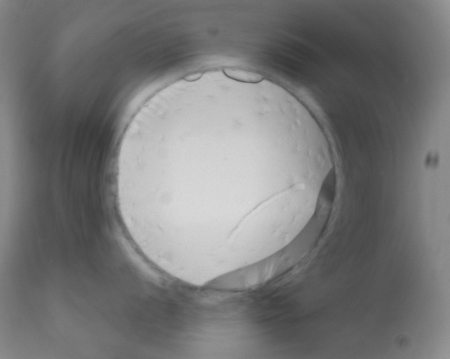 X0000113201056200910221035