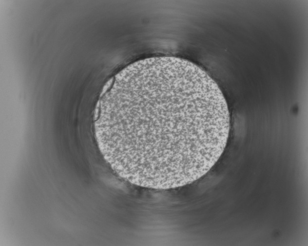 X0000113201057200910221035