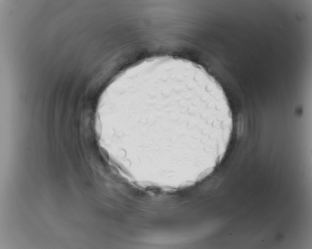 X0000113201059200910221035