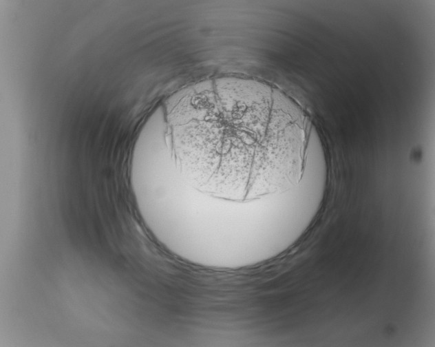 X0000113201060200910221035