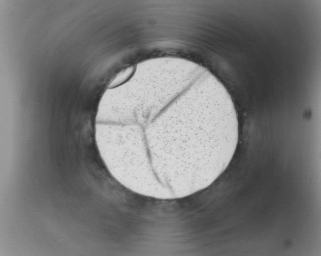 X0000113201062200910221035