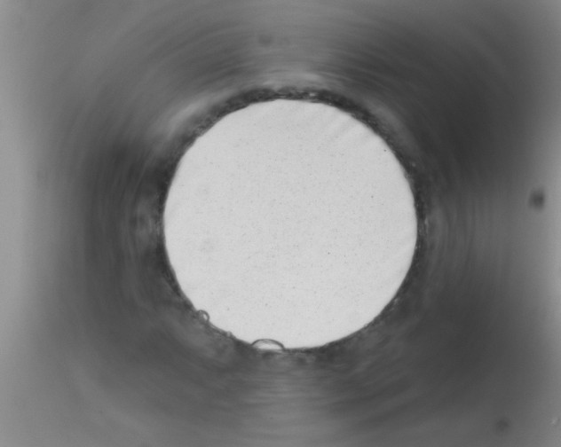 X0000113201063200910221035