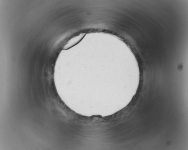 X0000113201064200910221035