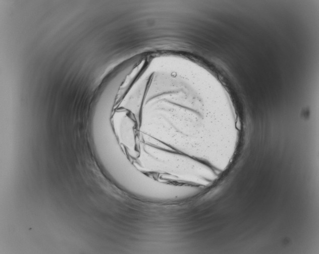 X0000113201065200910221035