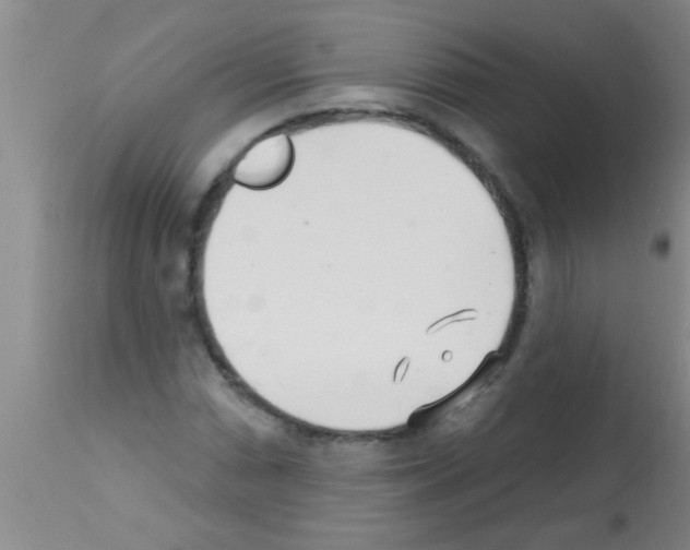 X0000113201066200910221035
