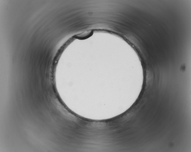 X0000113201068200910221035