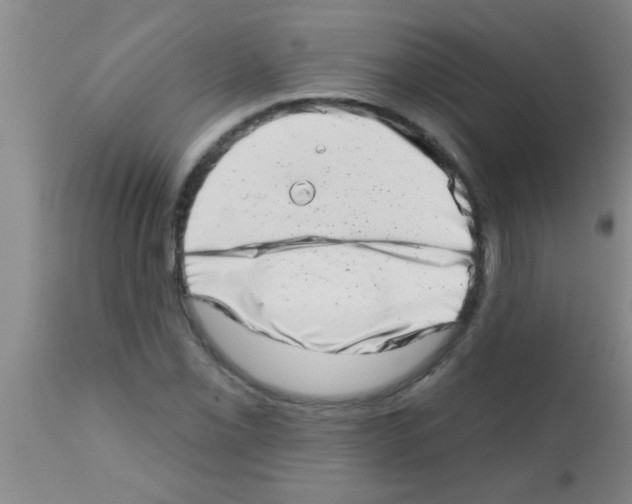 X0000113201069200910221035