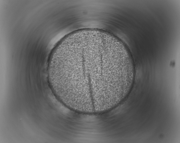 X0000113201071200910221035