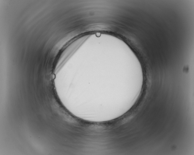 X0000113201073200910221034