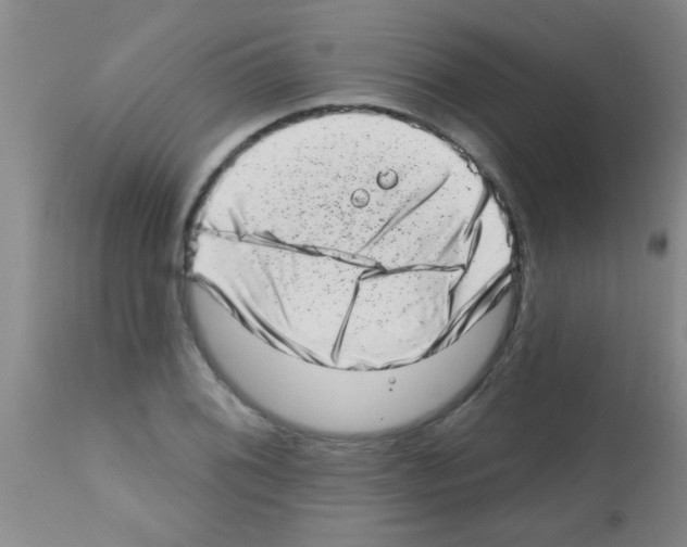 X0000113201076200910221034