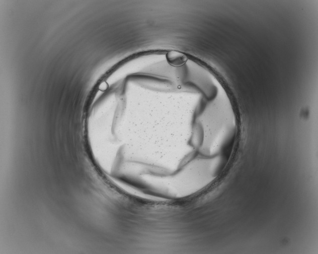 X0000113201077200910221034