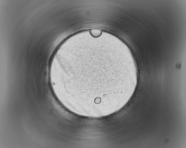 X0000113201079200910221034
