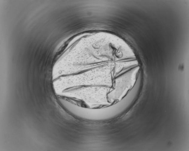 X0000113201081200910221034