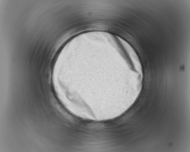 X0000113201083200910221034