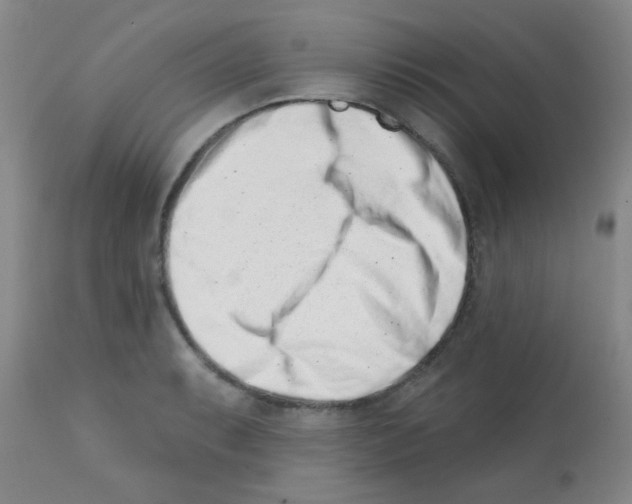 X0000113201087200910221034