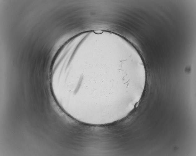 X0000113201088200910221034