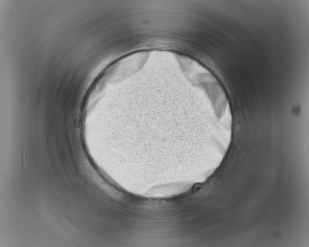 X0000113201091200910221034