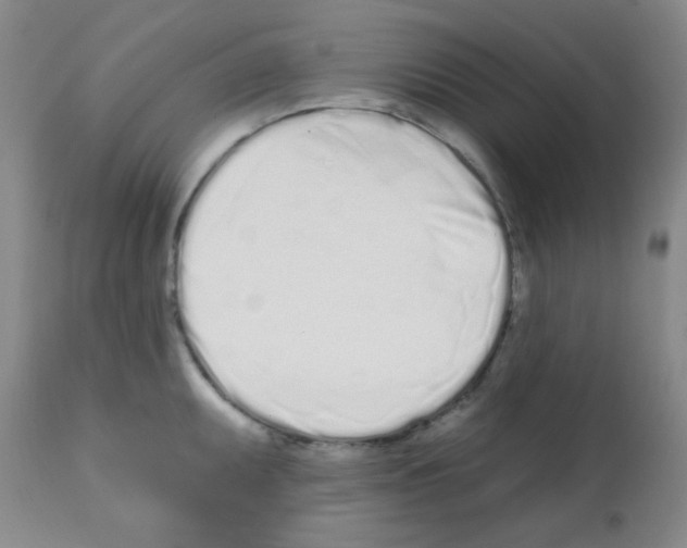 X0000113201095200910221034
