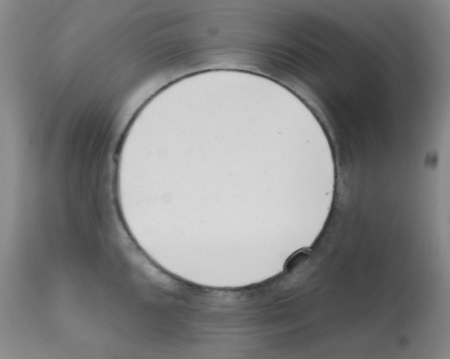 X0000113201096200910221034